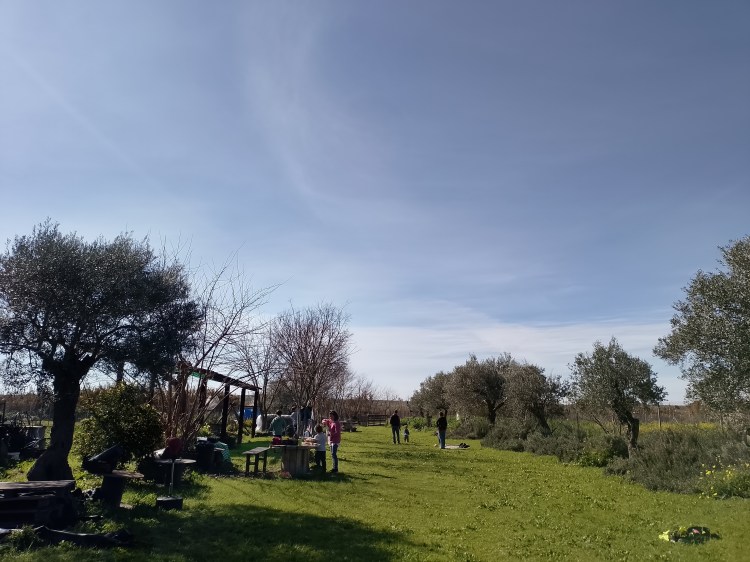 Proyecto «El Campito. Espacio de aprendizaje colectivo en&nbsp;permacultura»